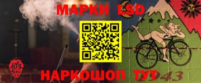 трава Будённовск