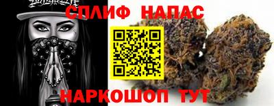 стаф Бузулук