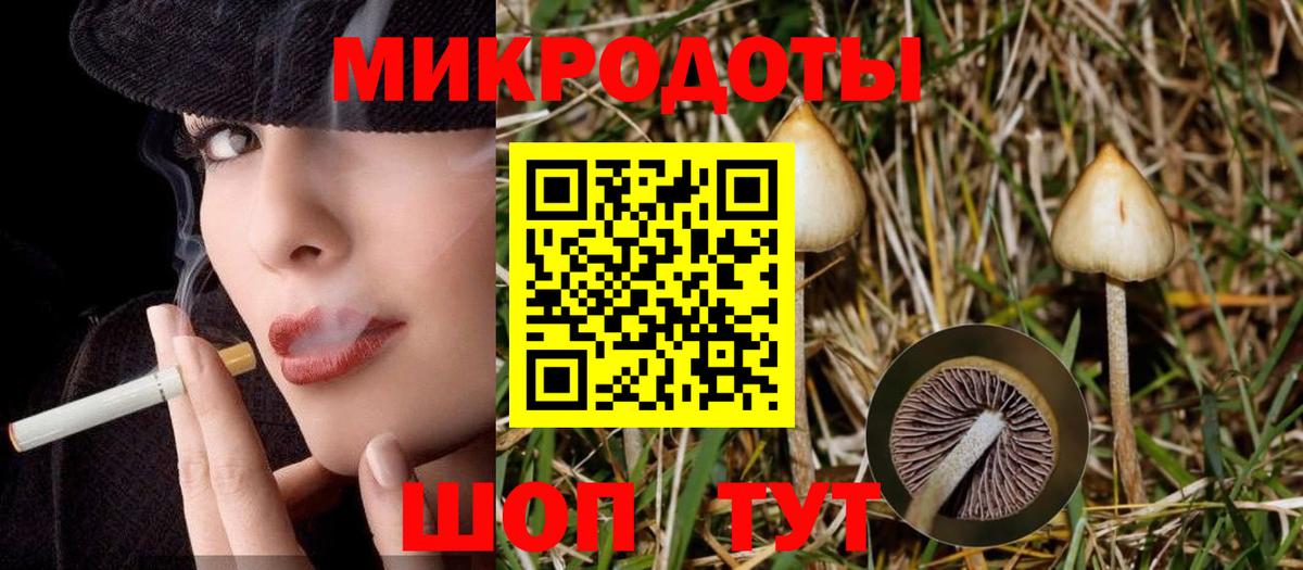 Озёрск  Галлюциногенные грибы Psilocybine cubensis  Вход с VPN 